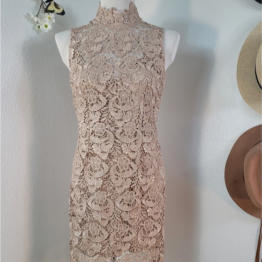 NWOT GRACIA Champagne Floral Lace Cocktail Sheath Dress Wedding Guest Elegant - Picture 6 of 16